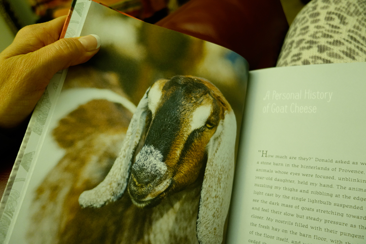 PersonalGoatCheeseHistory